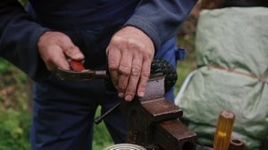 Alpon Savanni, Nummijärvi: 19.02.2019 18.00