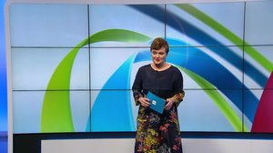 Yle Uutiset Uusimaa 21-02-2019 klo 18-21: 21.02.2019 18.35