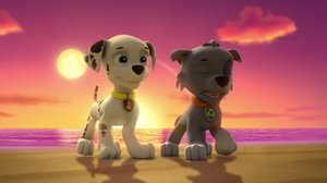 Meripartio: Pennut pelastavat Haulantiksen (S): 24.02.2019 08.08