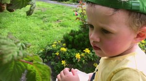 Marjassa (S): 01.03.2019 00.01