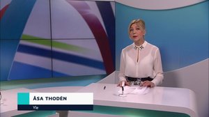 Yle Nyheter TV-nytt: 04.03.2019 17.55