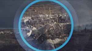 Oddasat: 05.03.2019 22.00