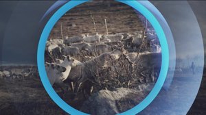 Oddasat: 06.03.2019 22.00