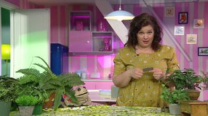 Veeran ja Kaarlon leikkimylly: 10.03.2019 07.45