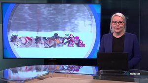 Oddasat: 11.03.2019 22.00