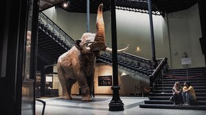 Curiosity and Control: 15.03.2019 06.00