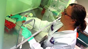 Euroopan unioni etsii kiivaasti vaihtoehtoja eläinkokeille: 12.03.2019 10.47