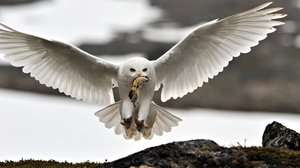 Tunturit: 16.03.2019 18.45