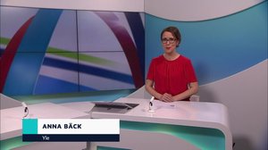 Yle Nyheter TV-nytt: 13.03.2019 17.55