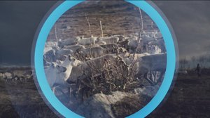 Oddasat: 14.03.2019 22.00