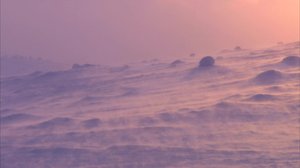 Maailman puhtainta ilmaa: 19.03.2019 15.00