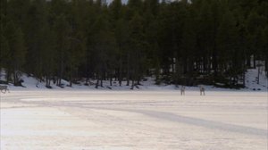 Kolttasaamelaisten ortodoksinen pääsiäinen Nellimissä: 19.03.2019 15.00