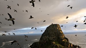 Rannikko: 23.03.2019 18.45