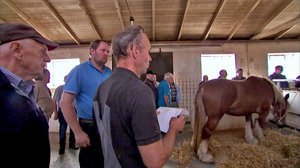 Kaikkea kaupan: 24.03.2019 10.30