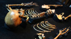 Historia: Ensimmäinen amerikkalainen: 25.03.2019 19.00