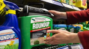 Huoli Suomen yleisimmän rikkakasvimyrkyn glyfosaatin turvallisuudesta kasvaa maailmalla: 26.03.2019 12.09