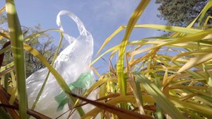 I love muovi: Muovi vieraslajina: 27.03.2019 13.00