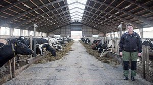 Yksinäinen keskellä elämää : 01.04.2019 05.55