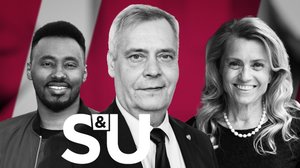 Uhkaavia tilanteita vaalikentillä: 29.03.2019 20.00