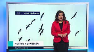 Sääennuste klo 18: 30.03.2019 18.14