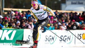 FM på skidor, herrarnas 15 km jaktstart (svenskt referat): 31.03.2019 13.28