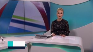 Yle Nyheter TV-nytt: 31.03.2019 17.55