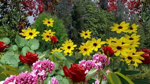 Iloa puutarhasta: 05.04.2019 09.00