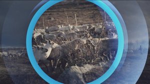 Oddasat: 01.04.2019 22.00