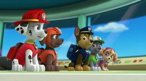 Pennut pelastavat Superpennun / Pennut pelastavat robokoiran: 08.04.2019 07.39