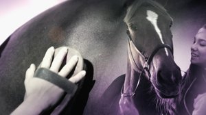 Ratsastuksen maailma: 07.04.2019 12.15