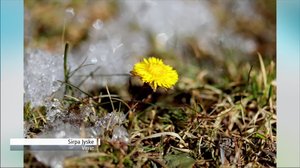 Sääennuste klo 18:00 (S): 08.04.2019 18.29