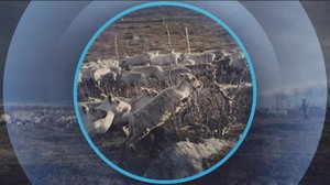 Oddasat: 08.04.2019 22.00