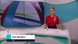 Yle Nyheter TV-nytt: 11.04.2019 17.55