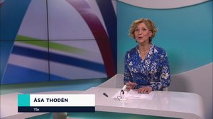 Yle Nyheter TV-nytt: 12.04.2019 17.55