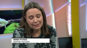 Yle Luonto seuraa kevään etenemistä: 17.04.2019 08.47