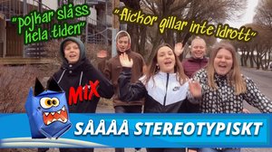 SÅÅÅ STEREOTYPISKT!  (S): 17.04.2019 14.00