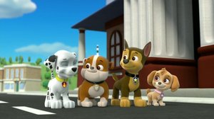 Apinan kintereillä / Pöllöä pelastamassa (S): 22.04.2019 07.40