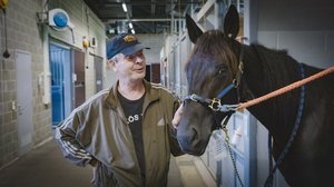 Sallin ura ravihevosena vaarassa: 25.04.2019 00.01