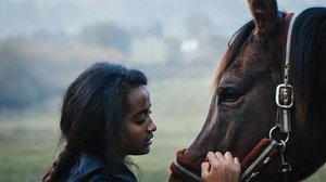 Girl in return: 28.04.2019 06.00