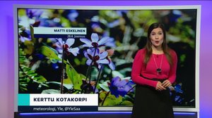 Sääennuste klo 7.00: 29.04.2019 07.15