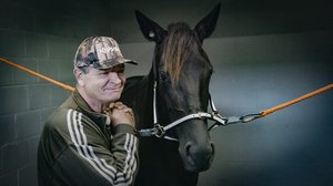 Koirat syöpänäytteitä haistelemassa: 02.05.2019 00.01