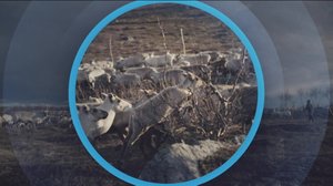 Oddasat: 30.04.2019 22.00