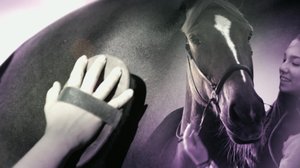 Ratsastuksen maailma: 05.05.2019 18.30