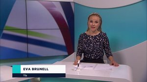 Yle Nyheter TV-nytt: 04.05.2019 17.55