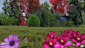 Iloa puutarhasta: 10.05.2019 09.00