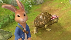 Ketterä kilpikonna (S): 11.05.2019 08.33