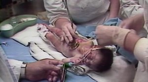 1985 Meksikon vauvojen ihme: 12.05.2019 17.55