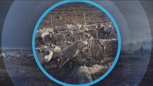 Oddasat: 13.05.2019 22.00