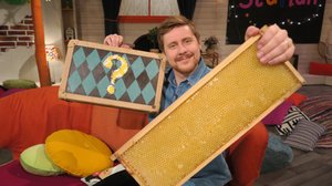 Honung och bin (S): 27.05.2019 10.13