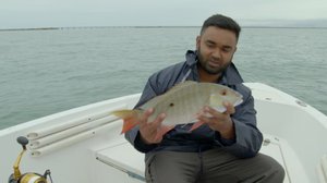 Kuuba: 15.05.2019 18.55